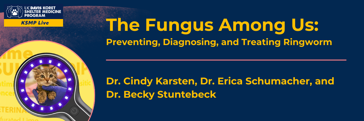 The Fungus Among Us: Preventing, Diagnosing, and Treating Ringworm