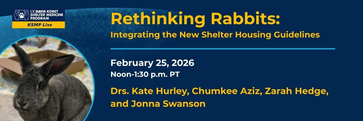Rethinking Rabbits