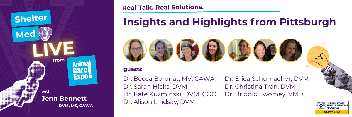 Shelter Med Live header graphic