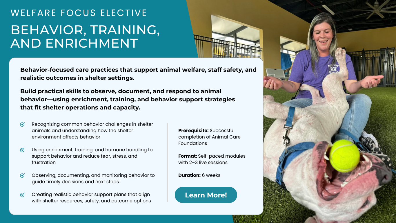 Behavior, Training, and Enrichment - Welfare Focus Elective