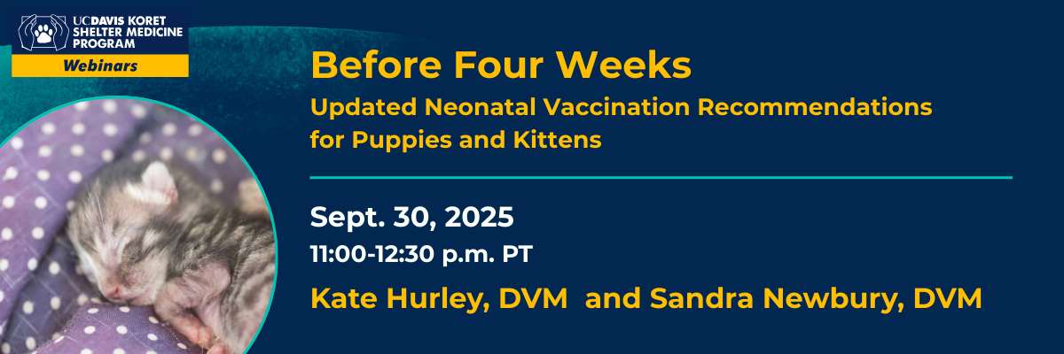 Neonatal Vaccine Recommendations webinar