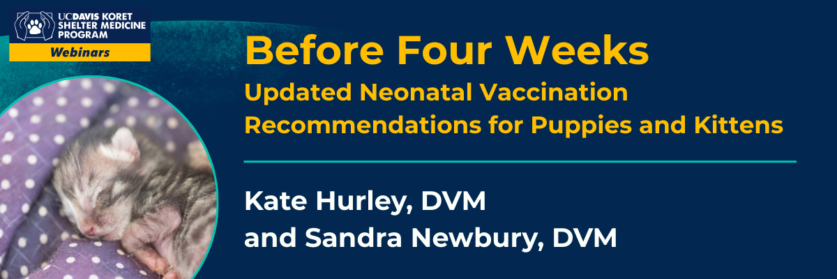 Neonatal Vaccine Recommendations webinar