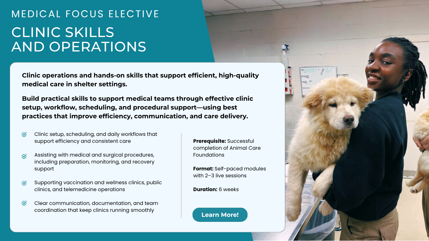 Clinic Skills and Operations - Medical Focus Elective