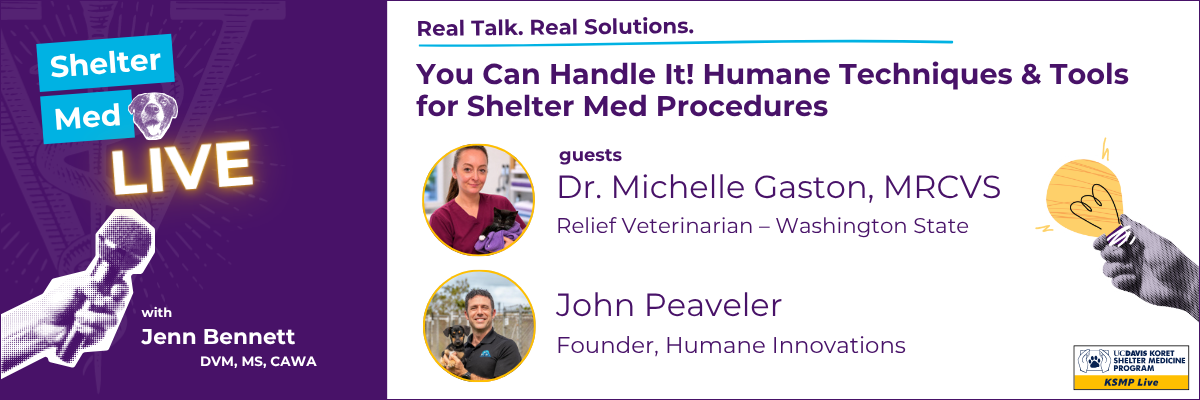 Shelter Med Live header graphic