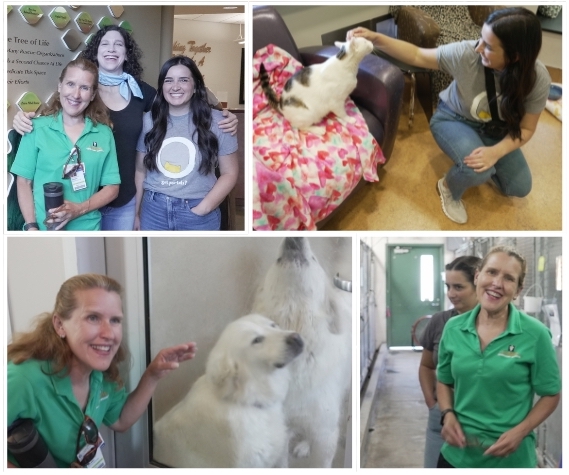 Shelter Learniverse team members at a shelter visit