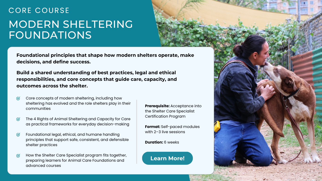 Modern Sheltering Foundations - Core Course