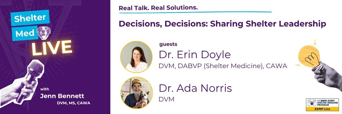 Shelter Med Live header graphic