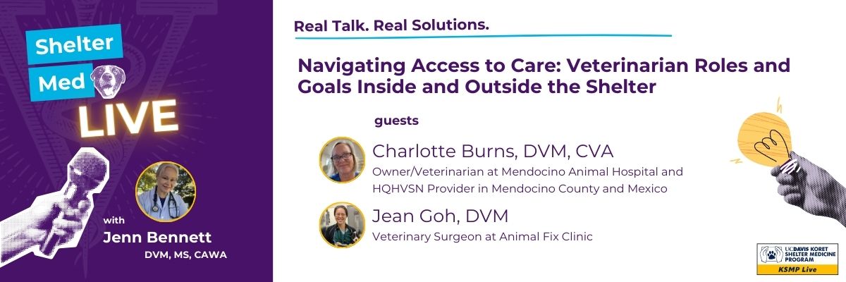 Shelter Med Live header graphic