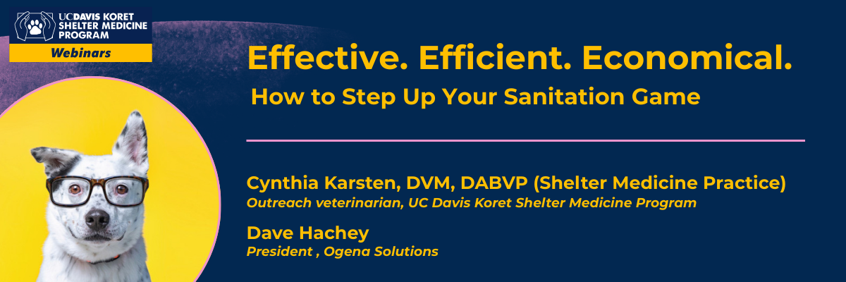 Effective Efficient Economical