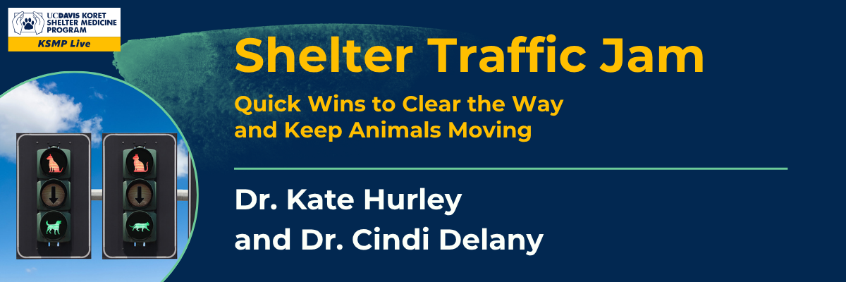 Shelter Traffic Jam webinar (now on-demand)
