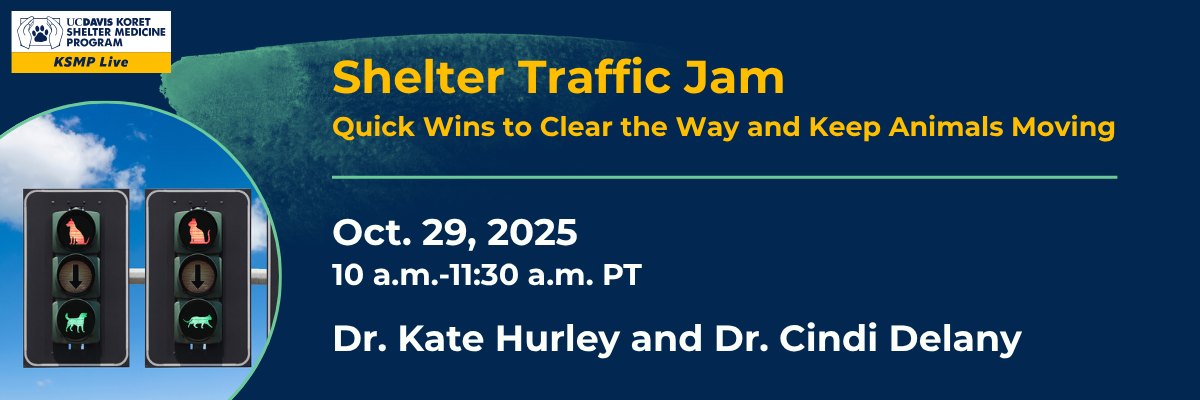 Shelter Traffic Jam: Quick Wins to Clear the Way and Keep Animals Moving
