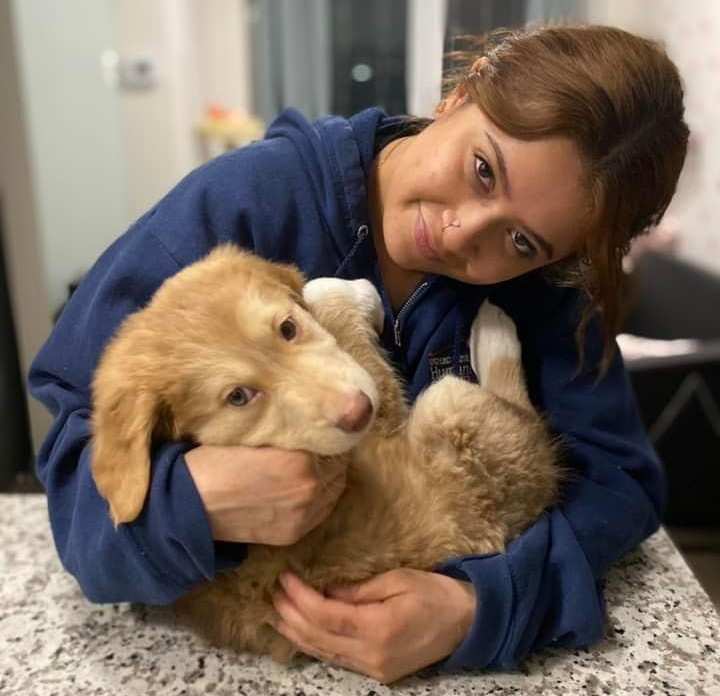 Shelter Care Specialist participant working with an animal
