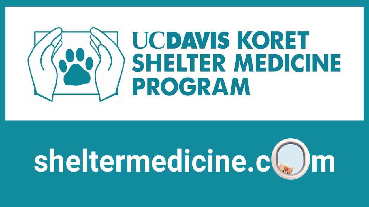 ShelterMedicine.com