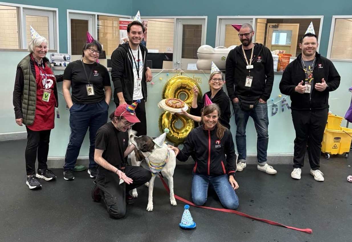 Shelter Care Specialist participant working with an animal