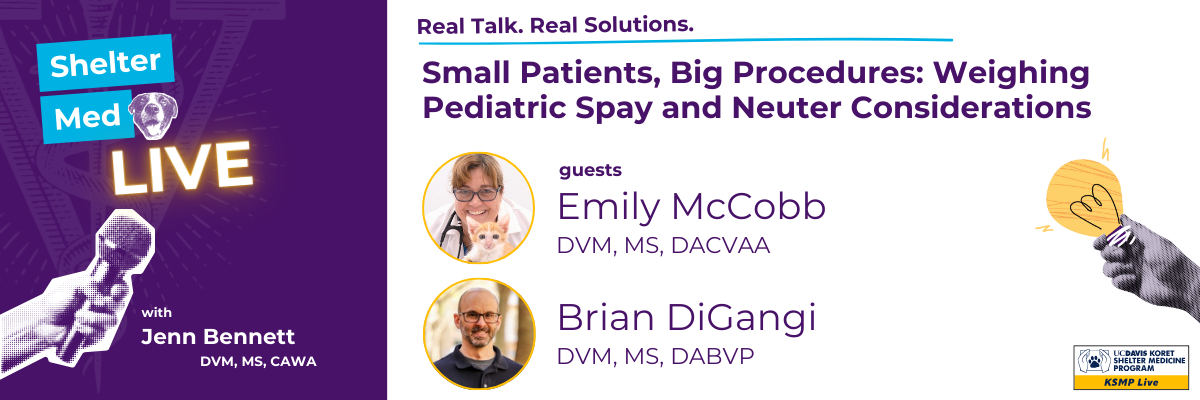 Small Patients, Big Procedures conversation banner
