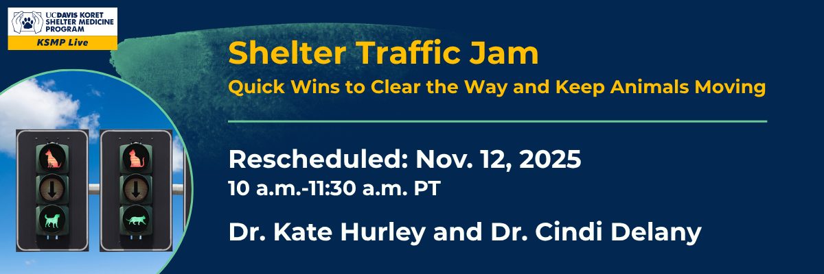 Shelter Traffic Jam webinar banner