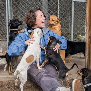 Cynthia Karsten, DVM, DABVP