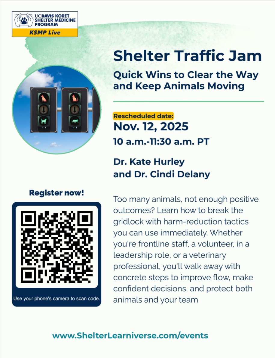 Flyer for Shelter Traffic Jam webinar, Nov 12