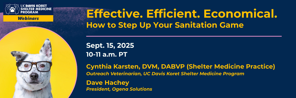Effective. Efficient. Economical webinar