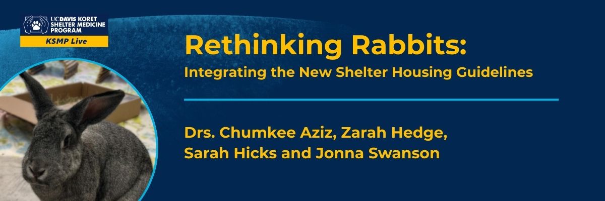Rethinking Rabbits