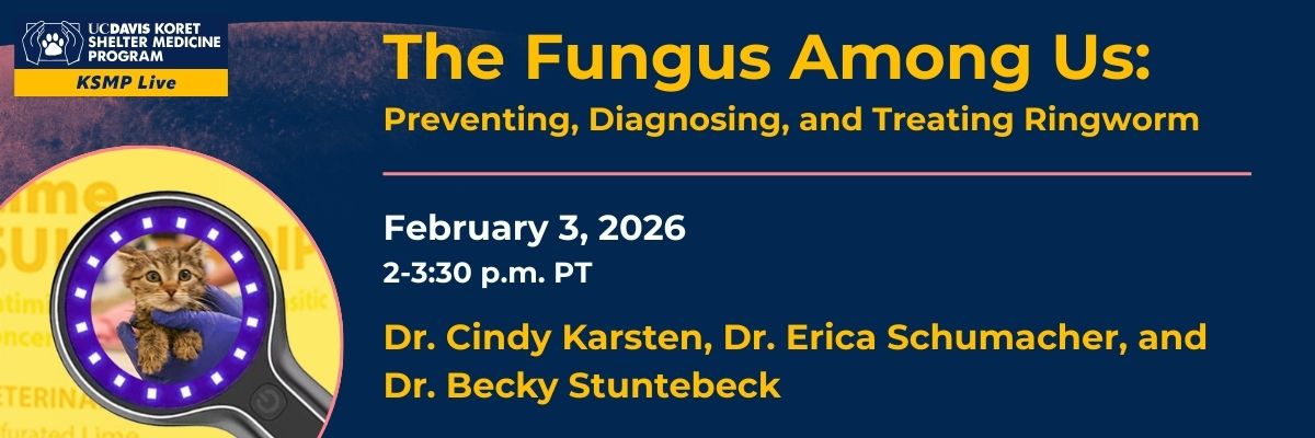 The Fungus Among Us: Preventing, Diagnosing, and Treating Ringworm