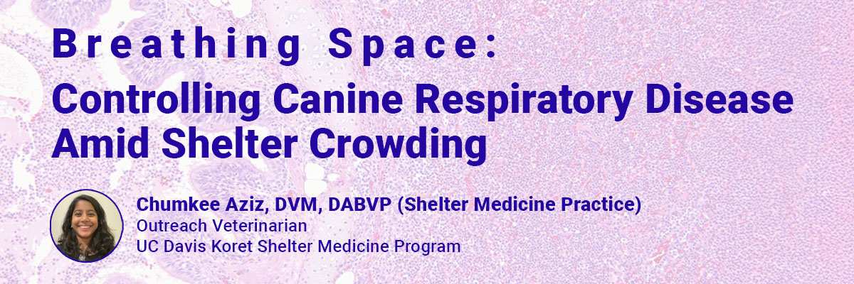 Breathing Space: Controlling Canine Respiratory Disease