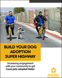 Cover of the Dog Adoption Highway