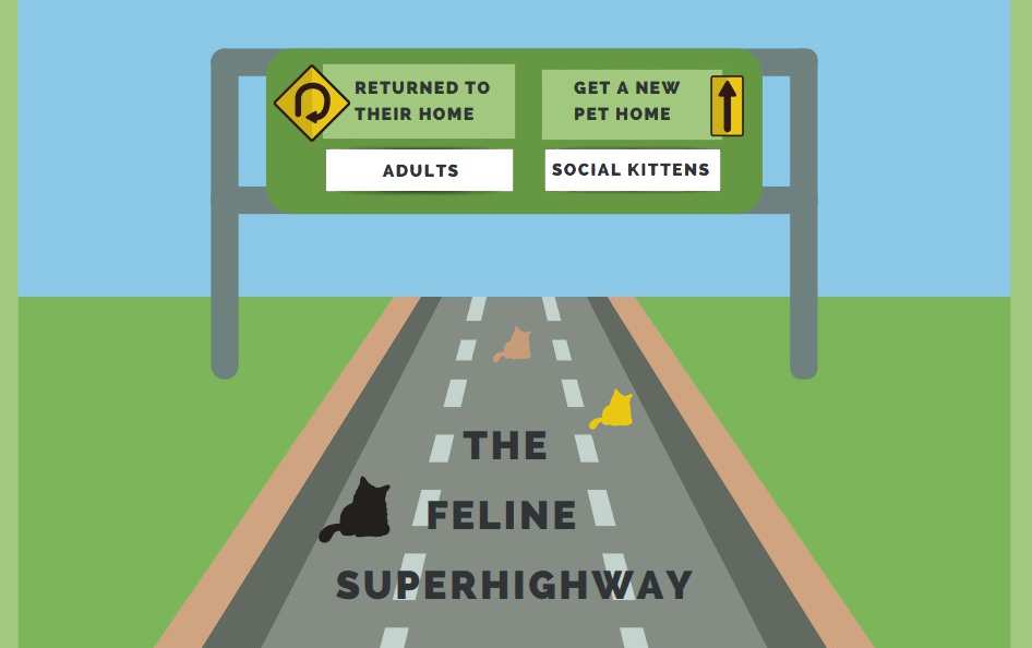 Illustration of a highway sign with exits for adult cats on one side and kittens on the other