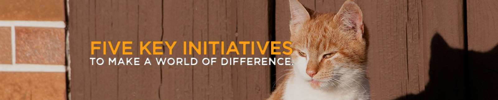 Five key initiatives to make a world of difference