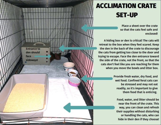Acclimation crate setup graphic